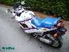 530 photo